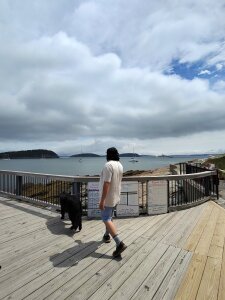 UncutLatinoPOVのPublicの 4枚の写真