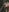 Miss_Elfie Poppy in the forest of debauchery Pic 8