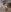 _NinaLuvSins_ Naked All Natural Princess Immagine 