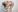 SunriseGuys Hot Pussy and White Stockings on Chair Photo 5