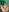 Mr_evan1 Naked and with a hard cock in green color 사진 7