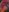 LilMiia topless neon Pic 2