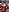 ASTRIDCHAT xtreme bondage tits Pic 5