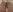 Alice_DavidsonHome nudes^^照片 5