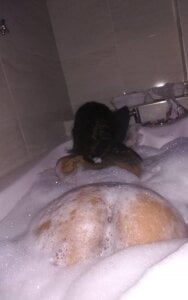 Doll_Ink_ Hello 💋 Pic