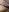 Sweettalexxia19Only my pussy照片 5