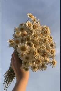 Chichi_86Public图片 5