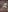 hotsuckcouple pornoart 사진 4
