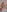 Nikkierosee Xxx rated nikkie rose Pic 4