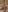 Nia_Blondie_X izgat a piros? 사진 9
