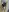 luisa16xxx Photos of me🤭 Photo