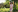 RebeccaRyen Sexy in the garden Foto  5