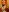 fulloferotic Natural 38G sensitive nipple with big areolas Pic 3