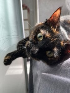 rara_ruru
