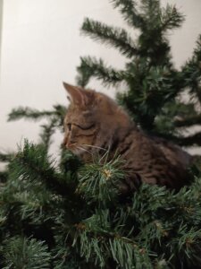 gloria_bubble Happy moments 😋 รูป  3