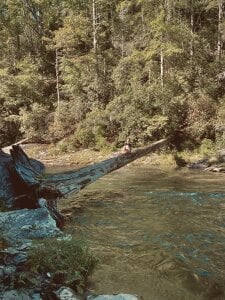 rosiebuddy Public Kuva 4