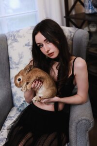 AliceLiddelle Christmas! . fénykép