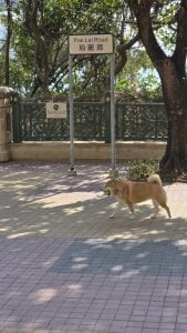 Kagawa781 Public Pic 5