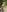 Fortune_888 MY SEXY FRIEND 🥰 Pic 6