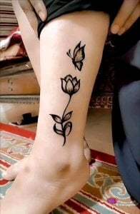 Public de Curvymoza  Imagens