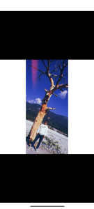 Yomo12345677 😊 Pic