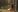 you_desire Light erotica in the forest Pic 4