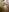 Chloee_Peach SHOWER FOR MY LOVE!🚿🔥🥵 Pic 6