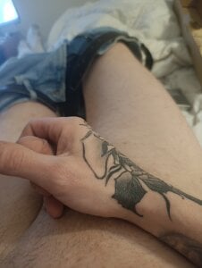 PAWCIO38: Public ( 3 фот о)