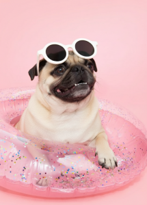 diamondfer's photo