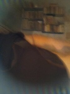 HenrySunshine Public Pic 6