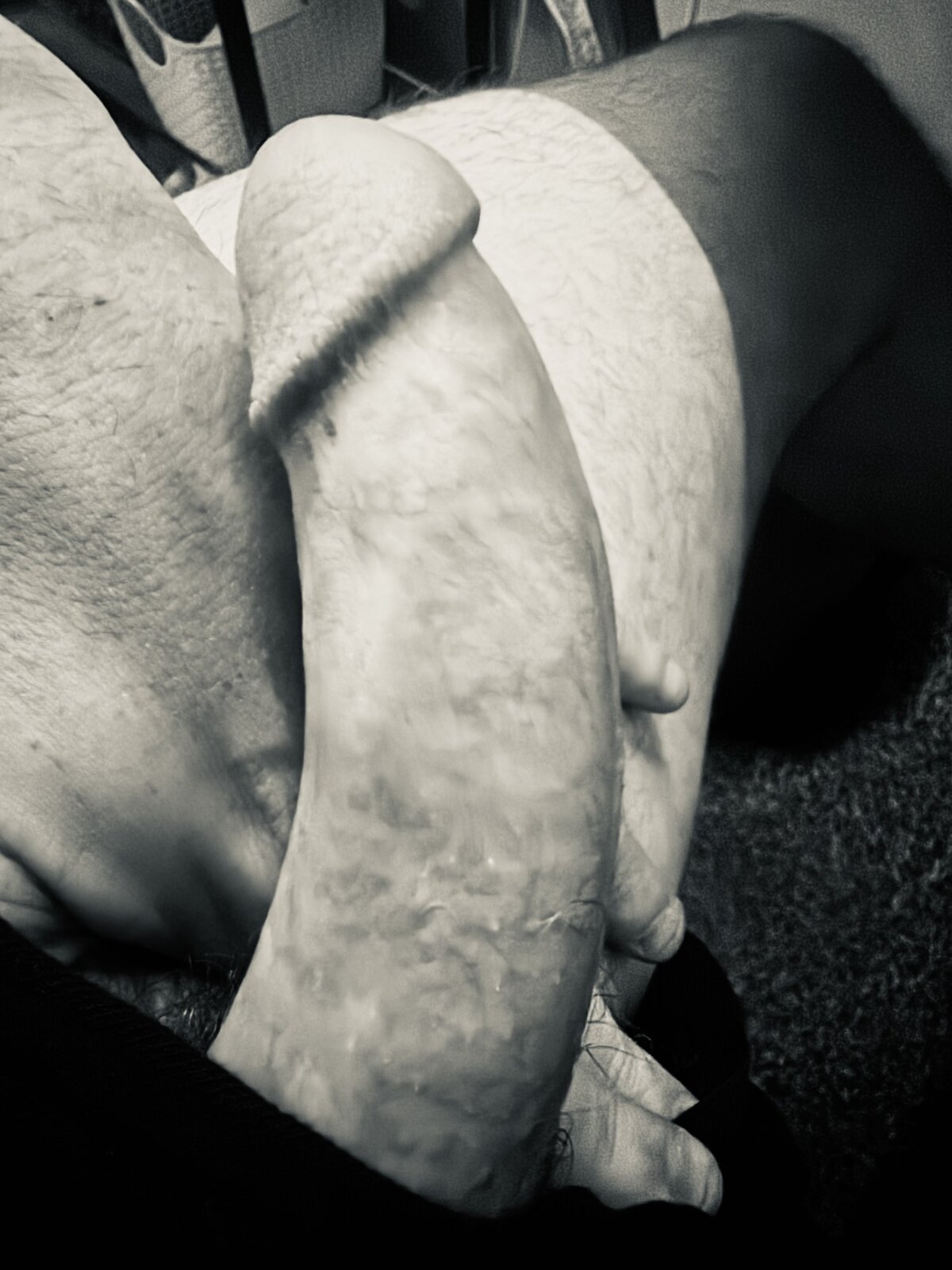 theone07221 Populært bilde 6970