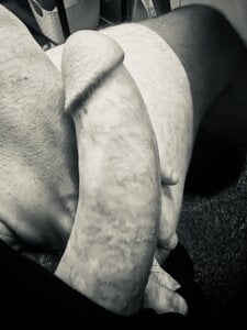 theone07221 Public টি ছবি