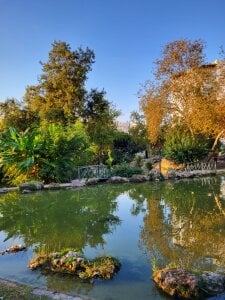 VelvetMelisa Public Pic 4