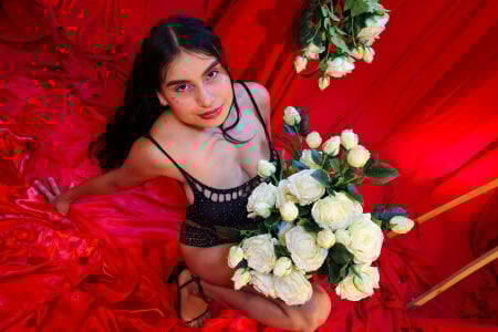 Hada_Ailany Sweetheart Secrets Billede 4