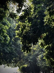 Kabir_XXX_69 Public Poză 4