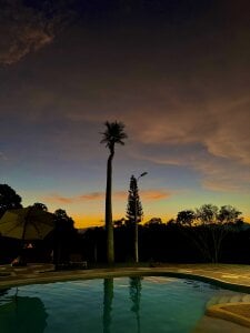 AriaWillssX kullanıcısının Vitamin D🌞💛 albümü -  fotoğraf