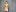 bisexlife_hott Dylan 사진 6
