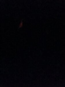 Ruhihani Public slika