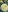 Var_Kiss My garden beauty Photo 6