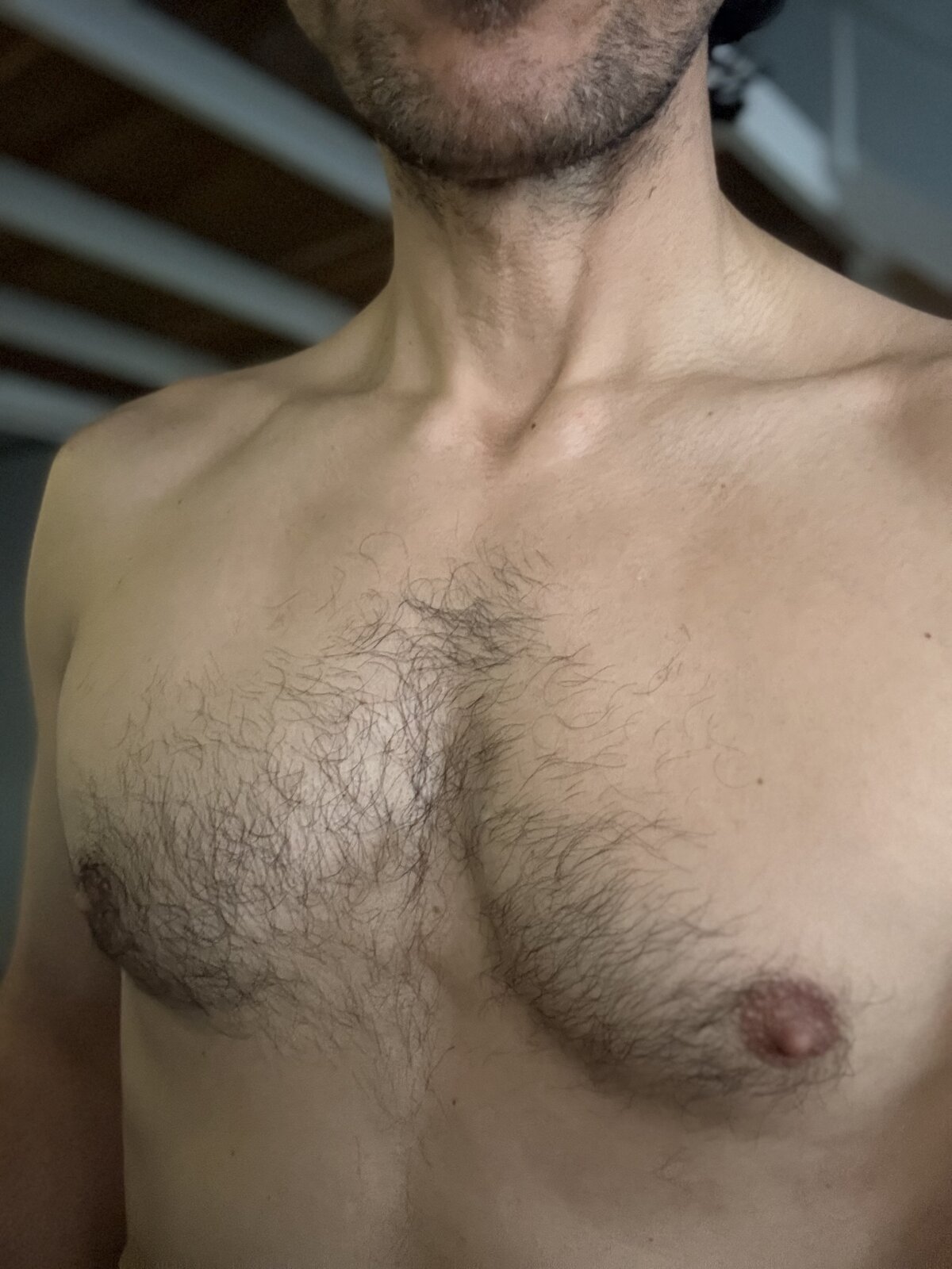 صور Nikolaj-pristino الرائجة  3996