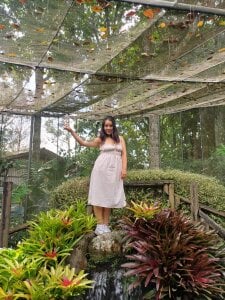 NathySweet Butterfly Garden 圖片 5