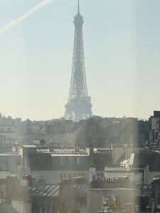 Big_Red_Bird Public Pic 4