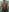 Tahira_21_ a delicious shower 💦🥰 Pic 7