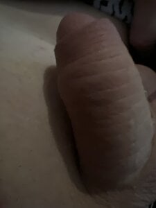 Hamsterdich Public Foto