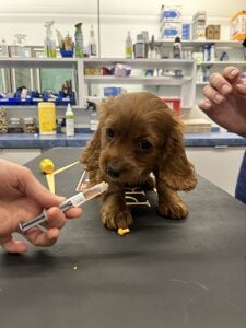 mariianebabePublic图片 4