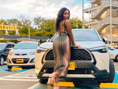 zyrastorm Public Pic 2