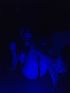 Bluent