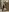Candy_Wa nuds Pic 6