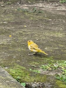 Ahri_Elderwood I want to share a little about my beautiful country and my vacations ❤️ Εικόνα 7