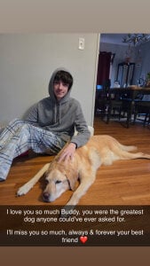 SeasonedBarony Dog Gambar 2